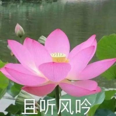 彩民喜中广西首个“辛丑牛10元”大奖，收获50万元奖金！