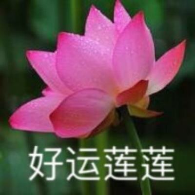 2024海峡两岸共祭伏羲典礼在台湾新北举行
